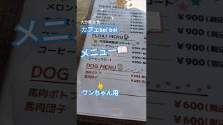 🐕‍🦺ワンちゃん用の料理メニューがあるカフェ！　カフェboi boiにて　目の前は広い芝生！ドッグランもある！ #カフェ #café #犬用おやつ #久住 #大分県