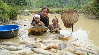 Harvesting giant fish ponds to sell at the market with my young son - cooking food for pigs