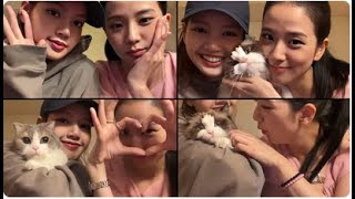 Lisa and Jisoo Full Live On Weverse (2022.08.08)