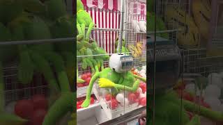 抓娃娃 UFOキャッチャー 夾公仔 日本抓娃娃Japan Claw Machine EP.254 The Muppets Kermit The Frog 🐸 新入荷 抓娃娃小技巧