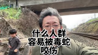 什么人群容易被毒蛇咬伤？#眼镜王蛇#竹叶青 #眼镜蛇 #五步蛇