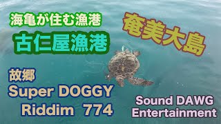 海亀が住む漁港・奄美大島 古仁屋漁港/Super DOGGY 故郷 Riddim 774