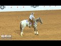 159 little boon peep shown by alex ciavardelli o162 senior working cow horse 42 at appaloosa world f