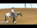 159 little boon peep shown by alex ciavardelli o162 senior working cow horse 42 at appaloosa world f