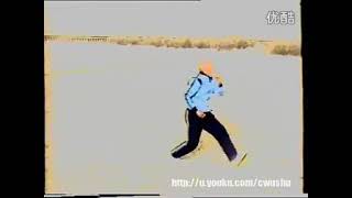 戴氏心意拳 十形象 王映海 60歲（山西）#kungfu #martialarts