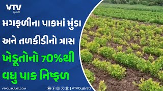 Gir Somnath News:  ગીરસોમનાથ જિલ્લાના ખેડૂતોના માથે તોળાતો નુક્સાનીનો ભય I VTV GUJARATI