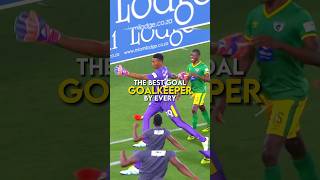 The best goal scored by every goalkeeper | part 1