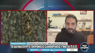 Το θαυματουργό πικρόμελο Σαμοθράκης γίνεται Π.Ο.Π. | 29/11/2022 | ΕΡΤ