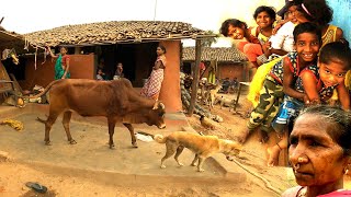 Afternoon Village, Kalahandi in Odisha