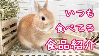 【うさぎ】エサ紹介♪餌の準備の時に脱走します。【Rabbit】Rabbit escapes　#16