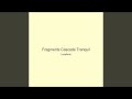 Fragments Cascade Tranquil