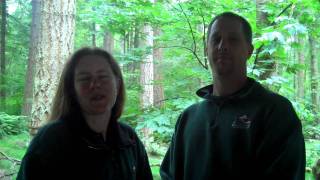 Why Do Coyotes Howl