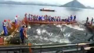 千島湖巨網捕魚實錄.wmv (遨遊旅行隊拍攝10/2009)