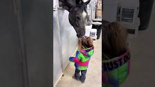 love baby and my horse #horse #littlecalf #babyanimal #baby #cowcalf #babyanimals  #calf #babypets