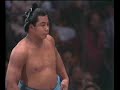 chiyonofuji vs. tochiakagi nagoya 1981 千代の富士 対 栃赤城