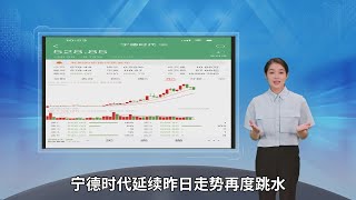 宁德时代创上市以来最高利润 股价却再度跳水：大跌超8%