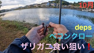 【バス釣り】ベコンクロー❗️ザリ食い狙い❗️琵琶湖　瀬田川