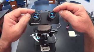 BIOL215 Microbiology Lab 1