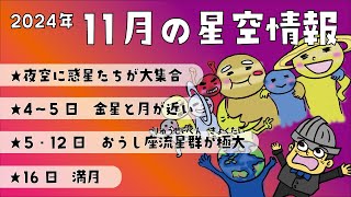 【2024年】11月の星空情報【夜空に惑星大集合！】