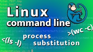Linux Process Substitution Explained (vs Pipes & Command Substitution)
