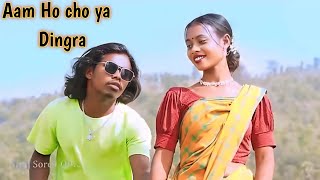 AAM HO CHO YA DINGRA | NIRAJ SOREN \u0026 BASANTI RANI | NEW SANTHALI VIDEO 2024