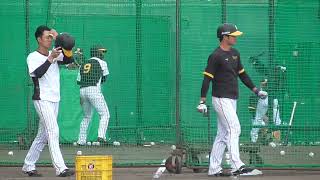 【プロ野球】2022.11.7　阪神タイガース　秋季キャンプ　『トス、ティバッティング、フリーバッティング②』