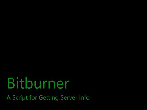 Script for getting server info  Bitburner - A programming-based incremental game