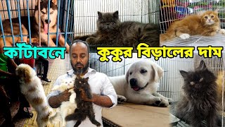 Dog And Cat price in Bangladesh | কাঁটাবনে কুকুর ও বিড়ালের দাম | Pomeranian Dog Price | Persian cat