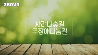 [이지제주] 사려니 숲길을 가다! 접근성 정보를 직접 확인하기 #360도 VR영상