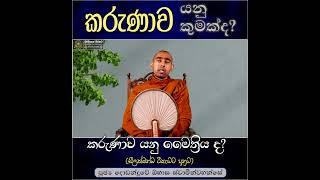 කරුණාව යනු මෛත්‍රිය ද? | Ven. Dodanduwe Obhasa Thero