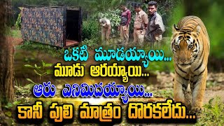 మిస్టరీగా మారిన పెద్ద పులి |Operation Tiger Kakinada  | Tiger Tension | Tiger | circar express news