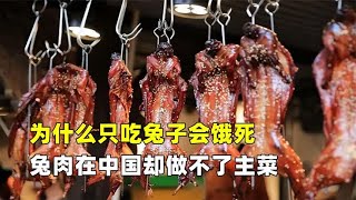 为什么只吃兔子会饿死？繁殖能力强，兔肉在中国却做不了主菜