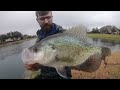 extreme city flooding brings out the giant fish