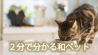 ペットシッター和ペット紹介動画（ペットシッター・散歩代行・ペット訪問介護など）