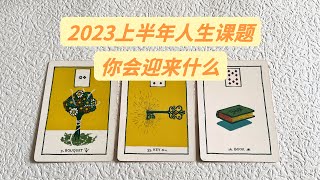 【赞恩塔罗】🔮2023上半年你的人生课题？即将迎来的变化？🔮|评论留言，心想事成|🦋占卜|疗愈|祝福|best wishes🌷