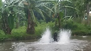 The Sounds of Waterwheel for Relaxing