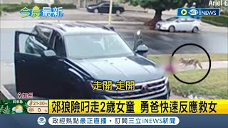 #iNEWS最新 為救小孩什麼都不怕! 美國野生動物出沒 郊狼險叼走2歲女童.浣熊緊咬5歲女童腿 加州.康州勇爸勇媽救女｜【國際局勢】20221205｜三立iNEWS