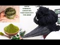 Moringa|Coconut Milk & Aloe Vera Hair Growth Mask/Use Once Weekly For Maximum Results