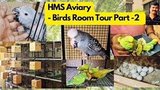 Birds Room Tour Part-2 | Show Budgies Set-Up | HMS Aviary