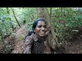 ayyarmala palakkad view point u0026 trekking mucheerimala near ottapalam avvlogs ayyarmala