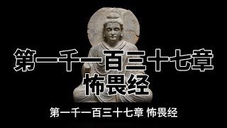 第一千一百三十七章 怖畏经。完全读懂巴利文大藏经（1137）