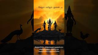 வேல் மாறல்🤍📿 #velmaral #arogara #vadapalanimurugantemple #முருகன் #kanda #muruga #வேல்மாறல் #love