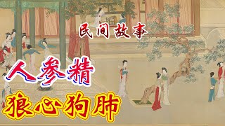 民间故事：狼心狗肺｜人参精