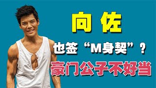 “娱圈少爷”向佐：欠钱不还成老赖，豪门公子竟签“M身契”？