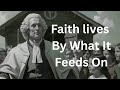 George Whitefield: The Preacher Who Couldn’t Be Silenced | Christian Biography