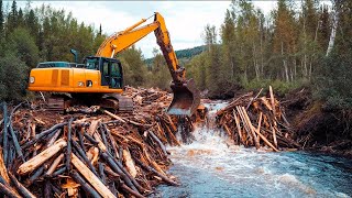 BEST BEAVER DAM REMOVAL EVER! | Best Compilation 2025 #7