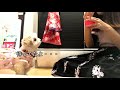 【シーズー×ペキニーズ】お芋を食べることに必死な様子が可愛すぎた！｜犬vlog