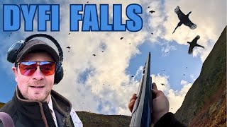 A DAY SHOOTING HIGH BIRDS AT DYFI FALLS!! | PHEASANT & PARTRIDGE SHOOTING | JACK PYKE OF ENGLAND