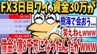 【2ch面白いスレ】初FXイッチ「よしっ！まだまだやー！」スレ民「終わってるでwww」→結果www【ゆっくり解説】