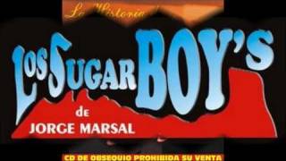 LOS SUGAR BOY´S COSAS INOLVIDABLES